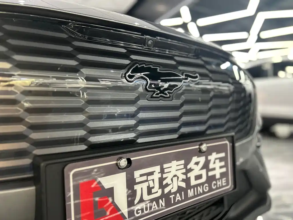 Ford Mustang Mach-E 2021 Transcend Rear Drive Standard Battery Life купить на сайте DeffCars