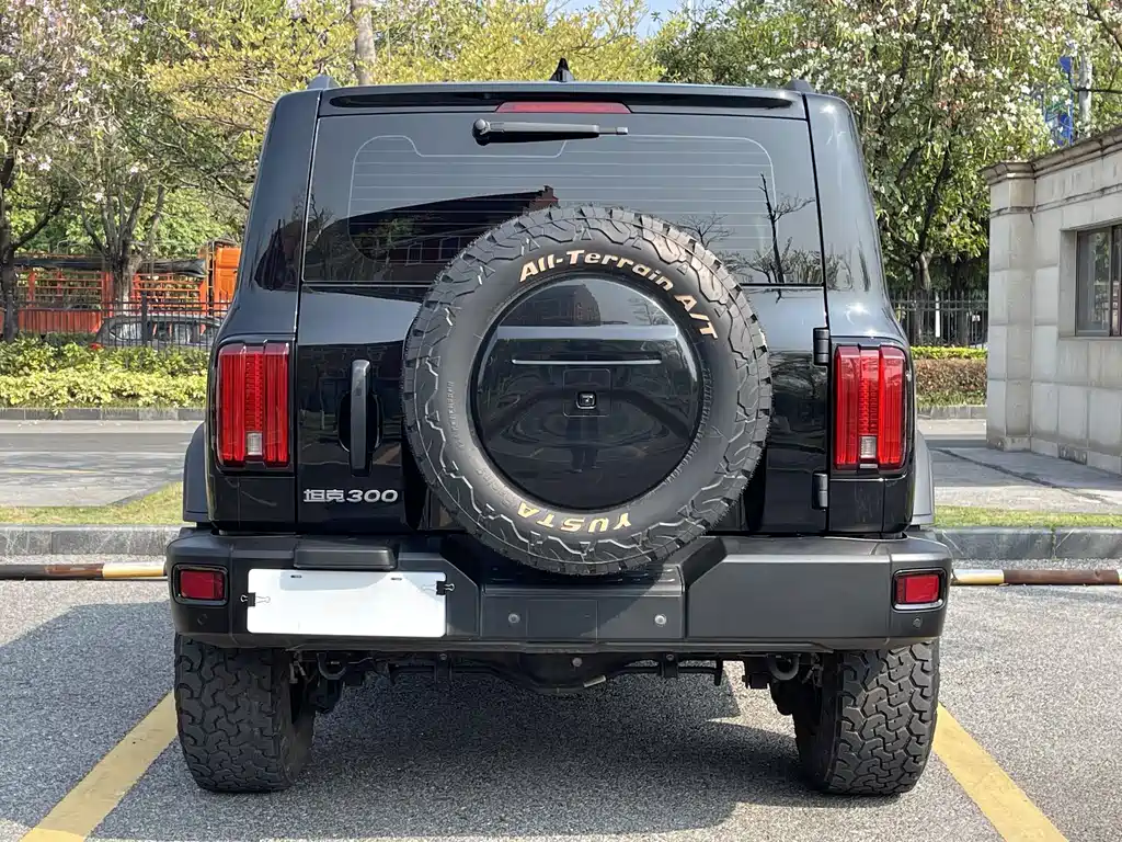 Tank 300 2021 Off-Road Version 2.0T Conqueror купить на сайте DeffCars