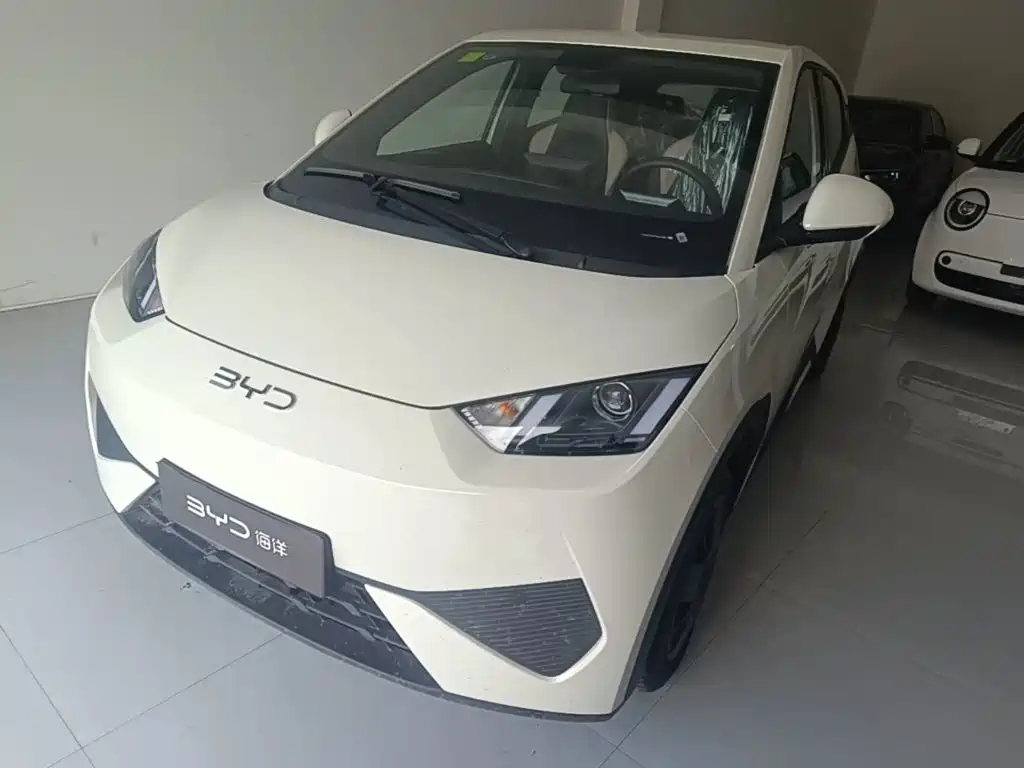 Seagull 2025 305km active version купить на сайте DeffCars