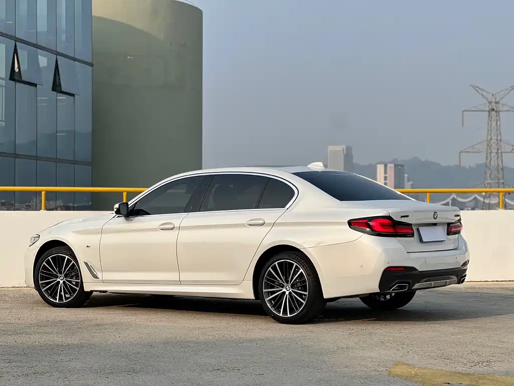BMW 5 Series 2021 530Li Leading M Sports Package купить на сайте DeffCars