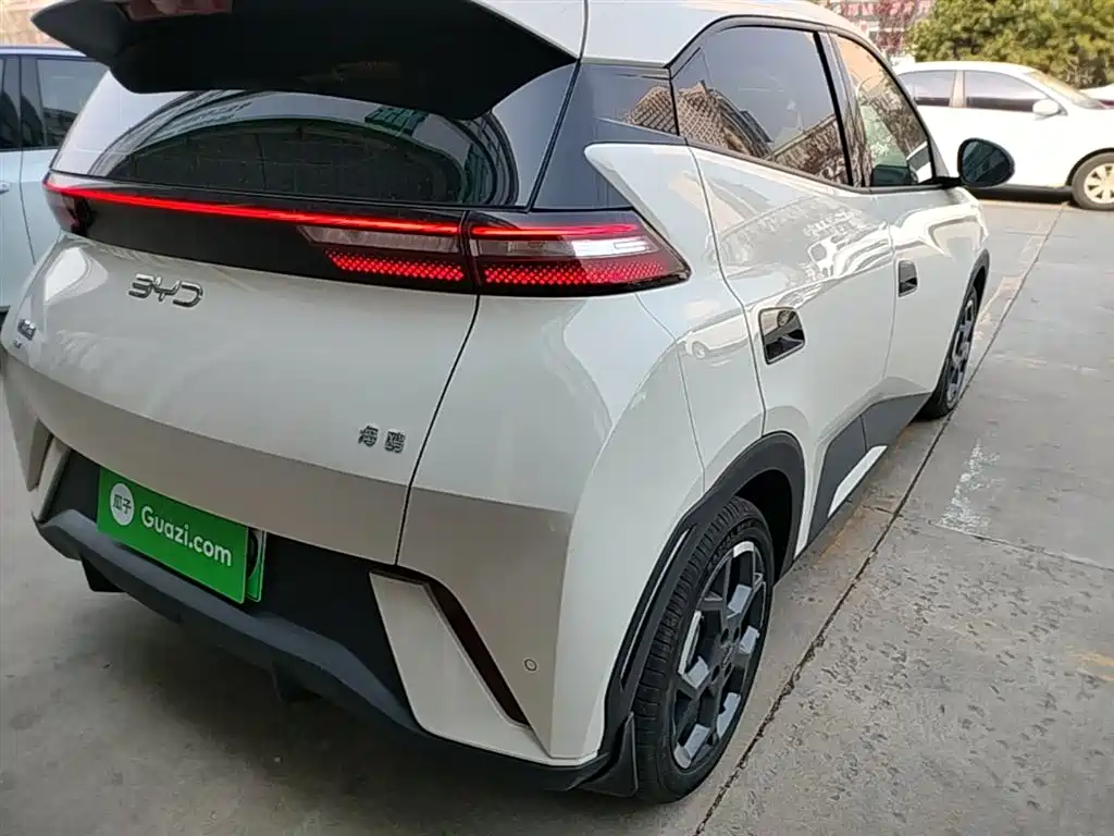 Seagull 2025 305km Free Edition купить на сайте DeffCars