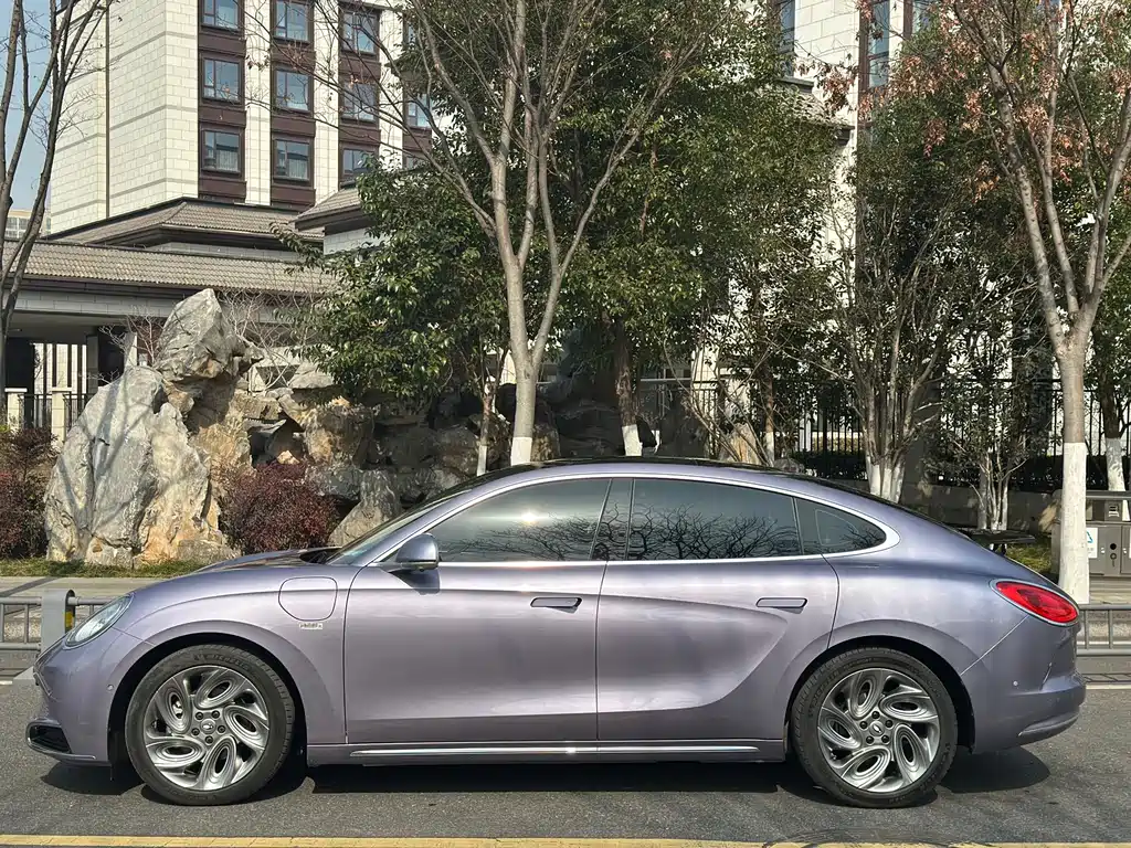 Euler Lightning Cat 2022 555km Premium Edition купить на сайте DeffCars