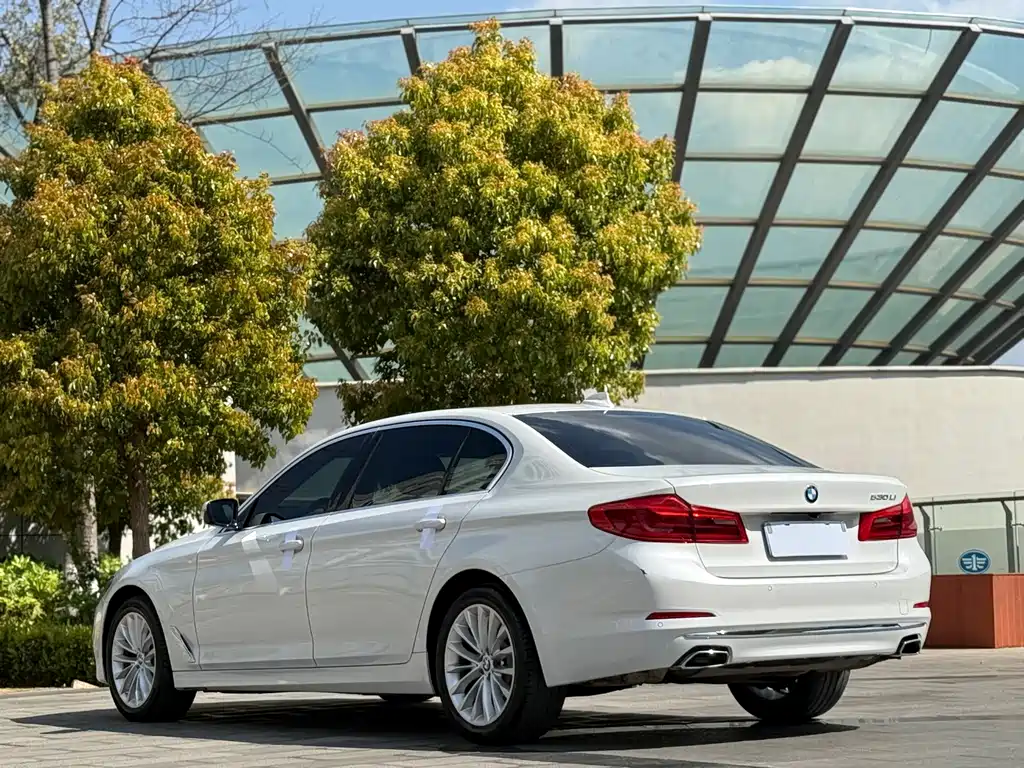 BMW 5 Series 2019 530Li Leading Luxury Package купить на сайте DeffCars