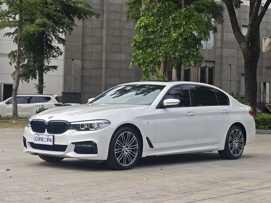 BMW 5 Series 2019 530Li Leading M Sports Package купить на сайте DeffCars