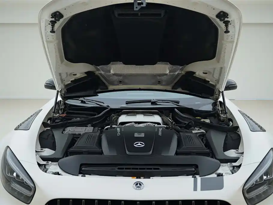 AMG GT 2019 AMG GT R PRO купить на сайте DeffCars