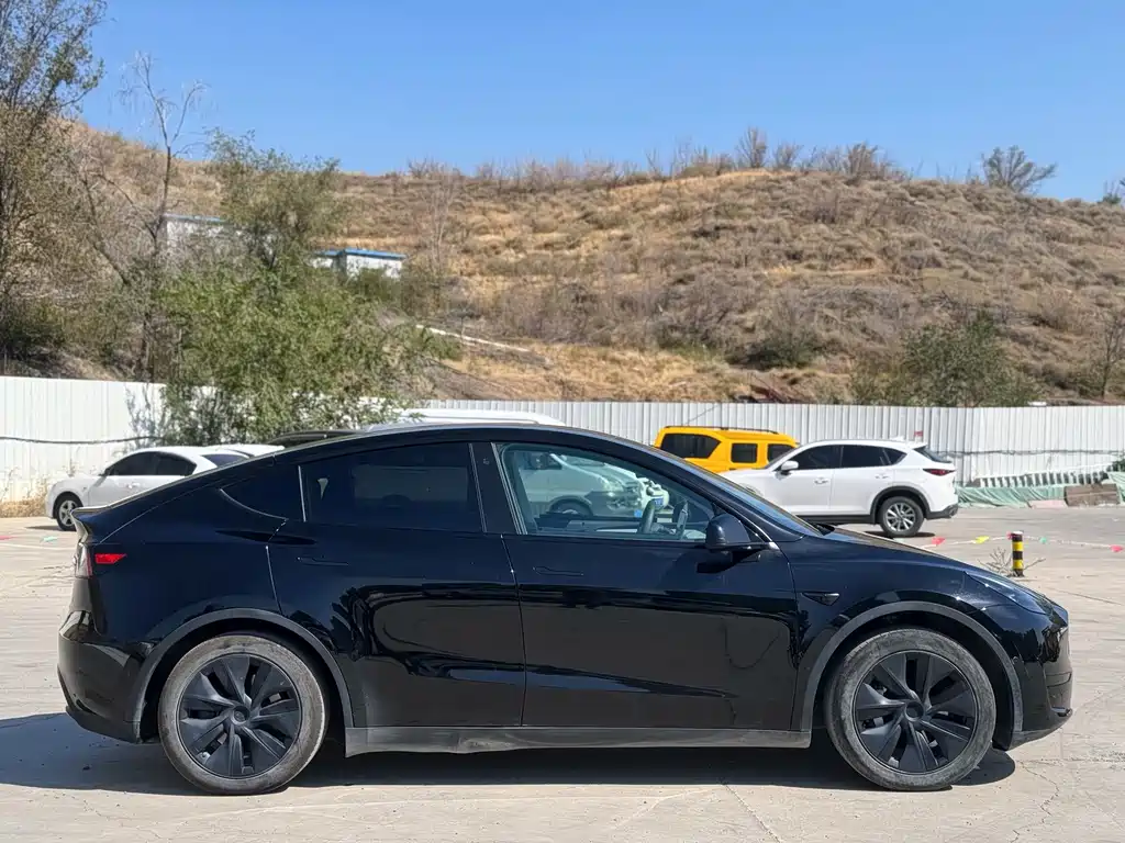 Model Y 2024 rear-wheel drive version купить на сайте DeffCars
