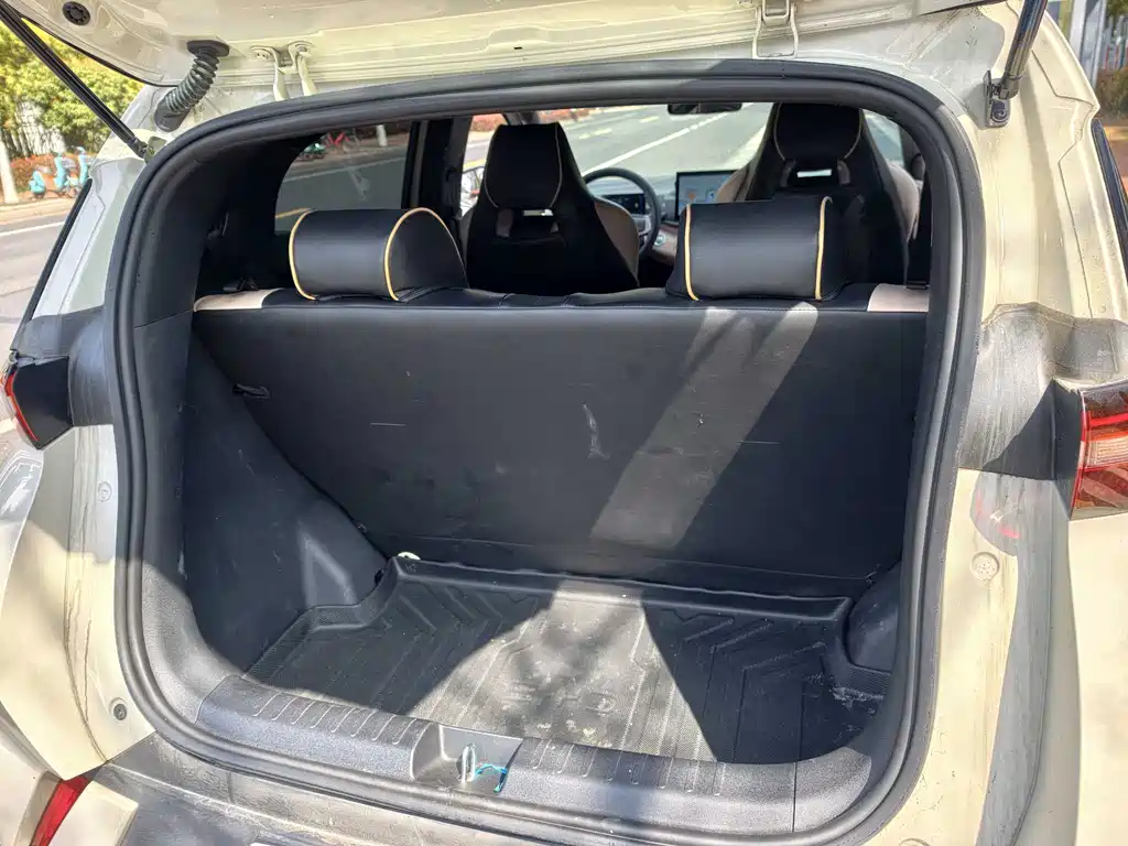 Seagull 2024 Honor Edition 305km Free Edition купить на сайте DeffCars