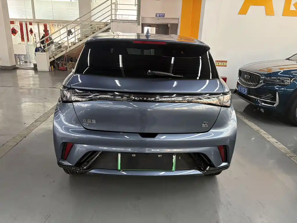 Dolphin 2025 420km Free Edition купить на сайте DeffCars