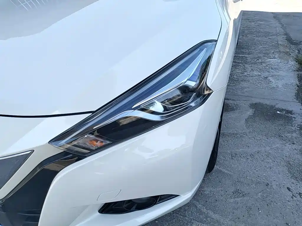 Bluebird 2019 1.6L CVT Cool Edition National VI купить на сайте DeffCars