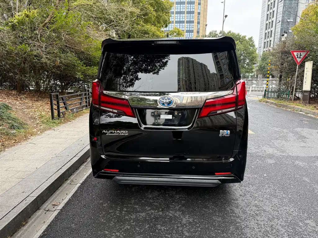 Alfa 2021 Shuangqing 2.5L Premium Edition купить на сайте DeffCars