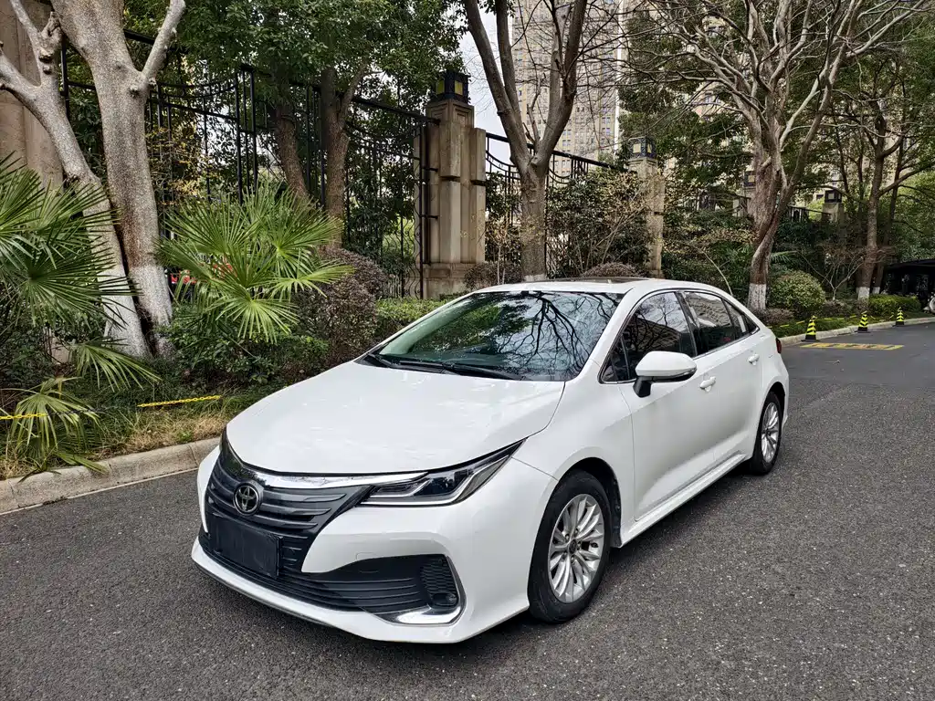 Asia Lion 2021 2.0L Deluxe Edition купить на сайте DeffCars