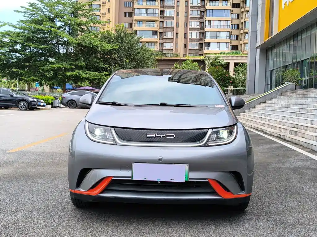 Dolphin 2021 405km fashion version купить на сайте DeffCars