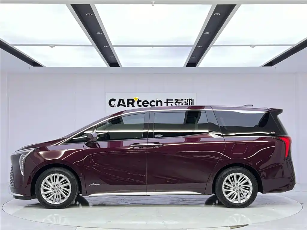 Century 2023 2.0T Six-seater Yuanshi Edition купить на сайте DeffCars