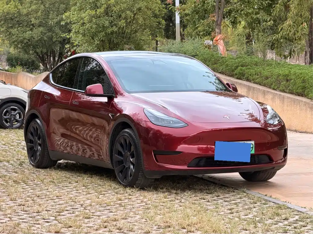 Model Y 2024 rear-wheel drive version купить на сайте DeffCars
