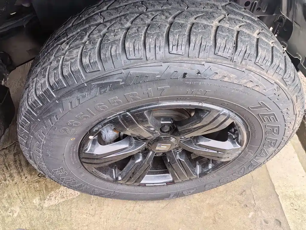 Tank 300 2021 Off-Road Version 2.0T Conqueror купить на сайте DeffCars