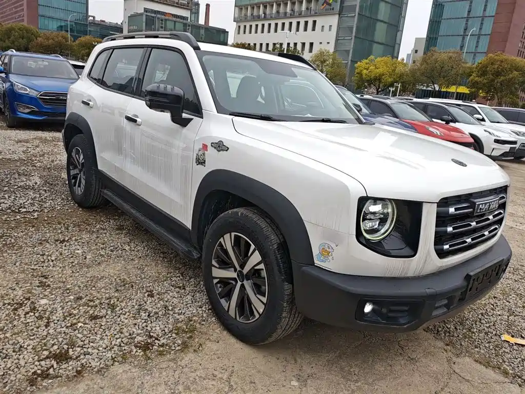 Havaldog 2021 1.5T DCT two-wheel drive Labrador version купить на сайте DeffCars