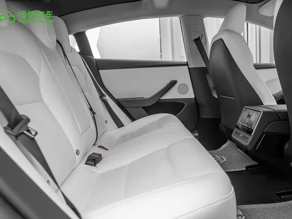 Model 3 2025 long-range all-wheel drive version купить на сайте DeffCars