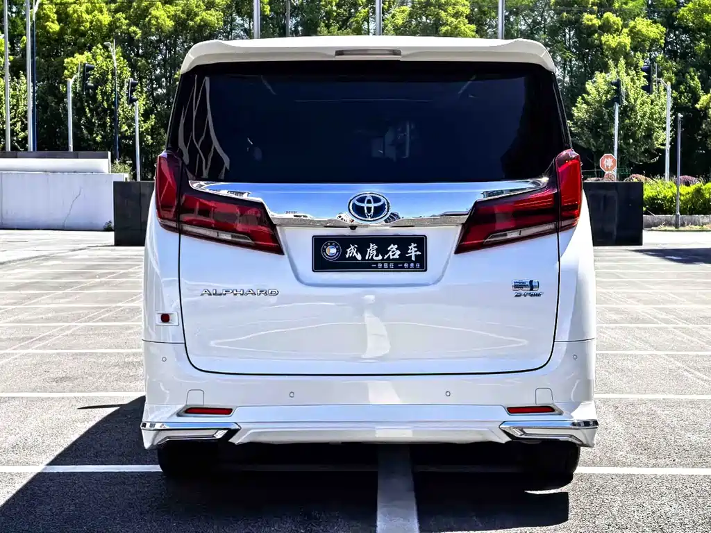 Alfa 2019 Dual Engine 2.5L Deluxe Edition купить на сайте DeffCars