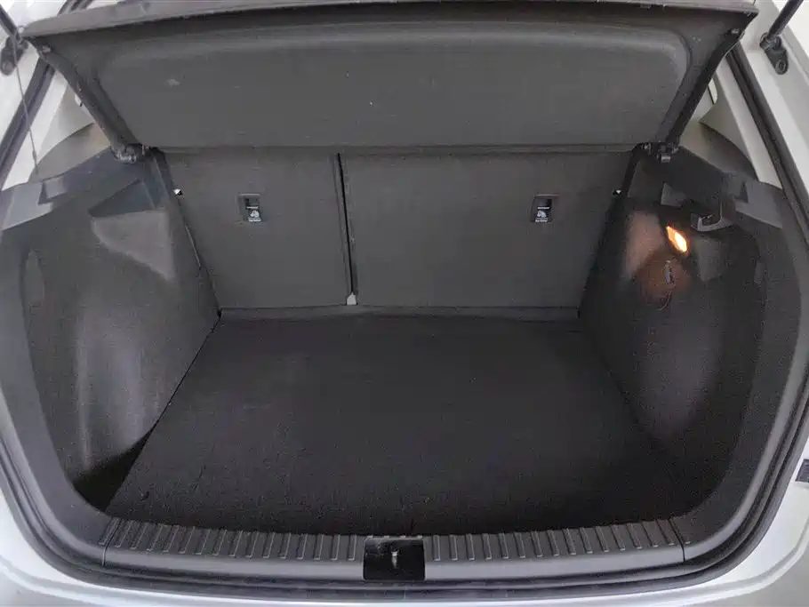 Tuyue New Energy 2021 Panoramic Premium Edition купить на сайте DeffCars