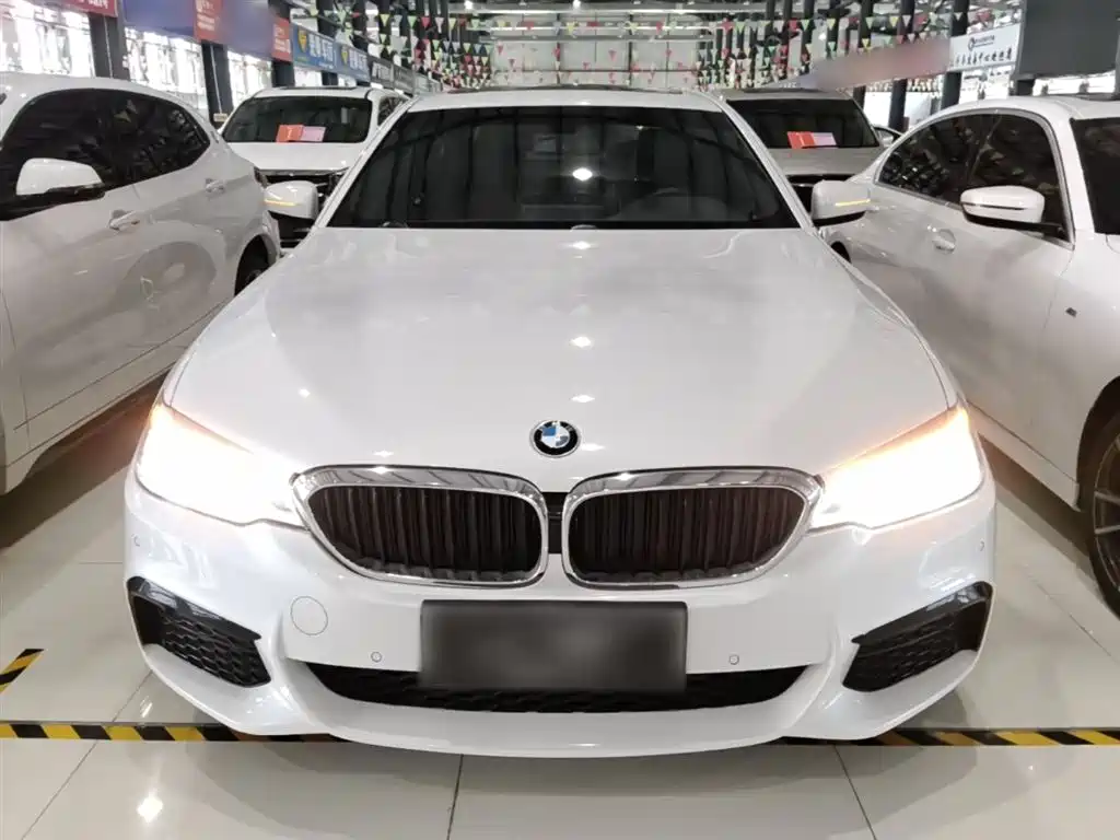 BMW 5 Series 2020 530Li Leading M Sports Package купить на сайте DeffCars