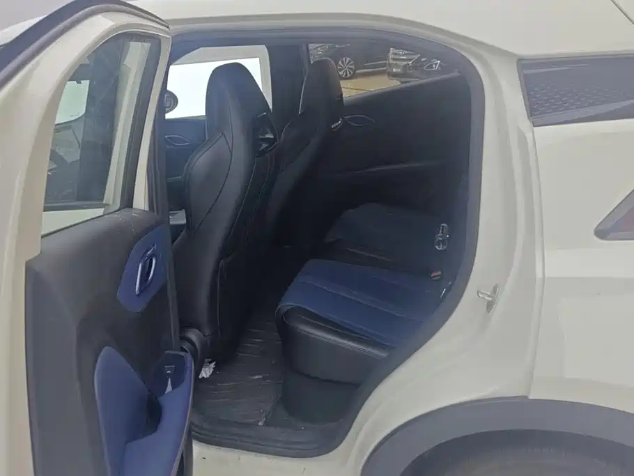 Seagull 2025 305km active version купить на сайте DeffCars