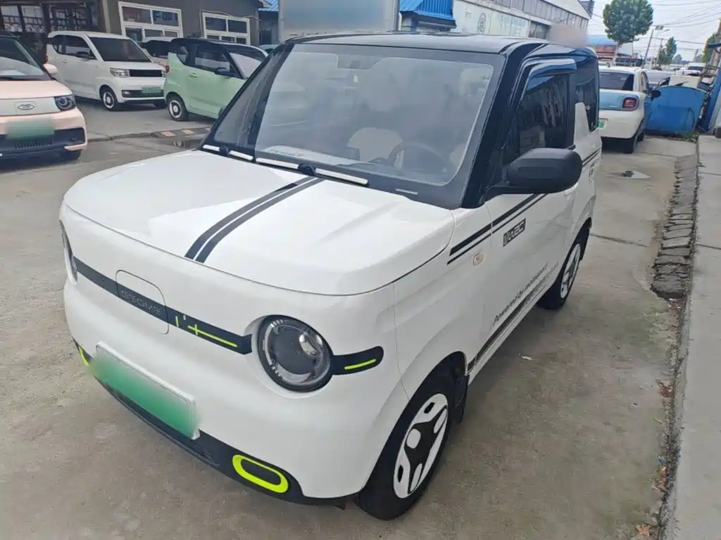 Panda (Geome) 2025 mini 210km Yuan Grizzly купить на сайте DeffCars