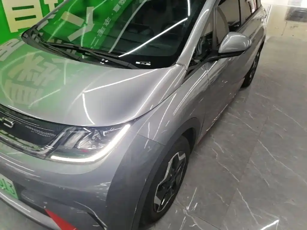 Dolphin 2021 405km fashion version купить на сайте DeffCars