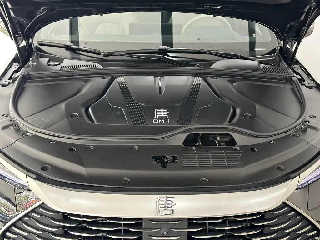 Tangxin Energy 2024 DM-i Honor Edition 112KM flagship model купить на сайте DeffCars