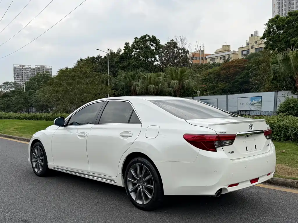 Ruizhi 2013 2.5V Shangrui version купить на сайте DeffCars
