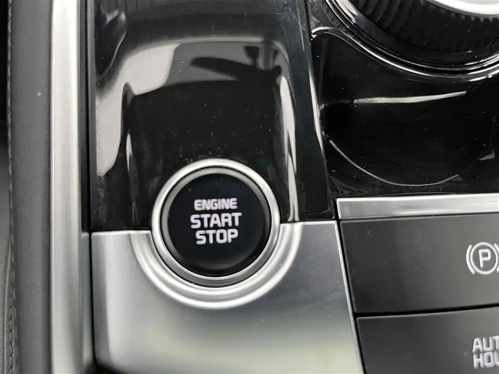 Lion Platinum expands the world 2023 2.0T two-wheel drive flagship version купить на сайте DeffCars