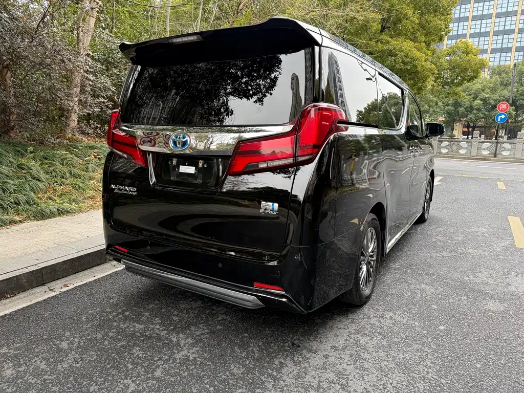 Alfa 2021 Shuangqing 2.5L Premium Edition купить на сайте DeffCars