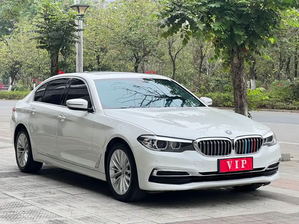 BMW 5 Series 2019 530Li Leading Luxury Package купить на сайте DeffCars