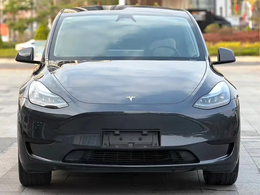 Model Y 2024 rear-wheel drive version купить на сайте DeffCars