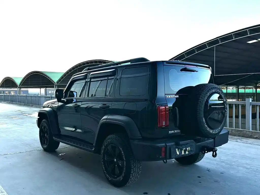 Tank 300 2023 Off-Road Version 2.0T Conqueror купить на сайте DeffCars