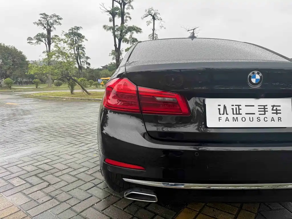 BMW 5 Series 2020 530Li Exclusive Luxury Package купить на сайте DeffCars
