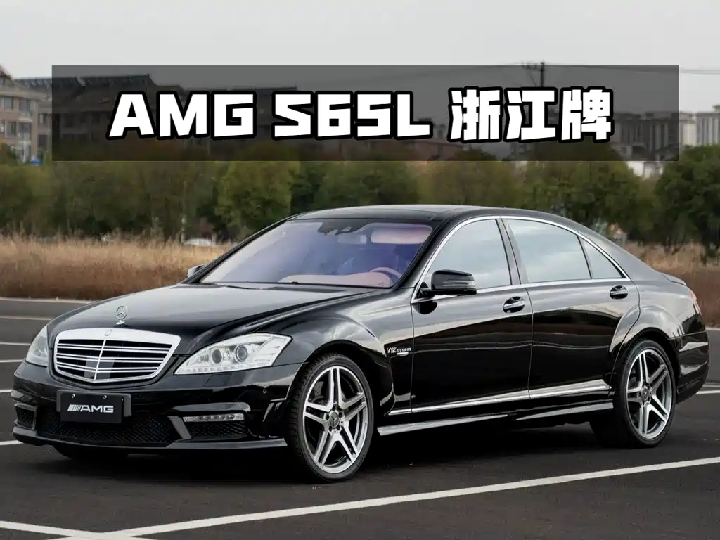 Mercedes-Benz S-Class AMG 2010 AMG S 65 купить на сайте DeffCars