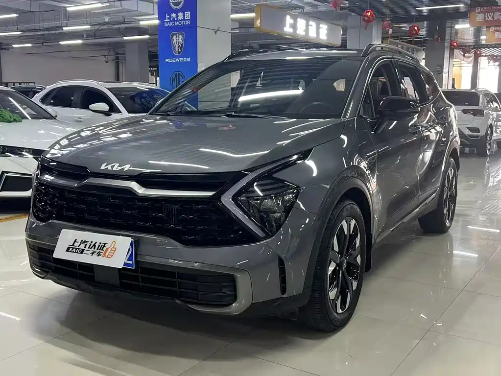 Lion Platinum Extends the World 2023 2.0T Two-wheel Drive Premium Edition купить на сайте DeffCars
