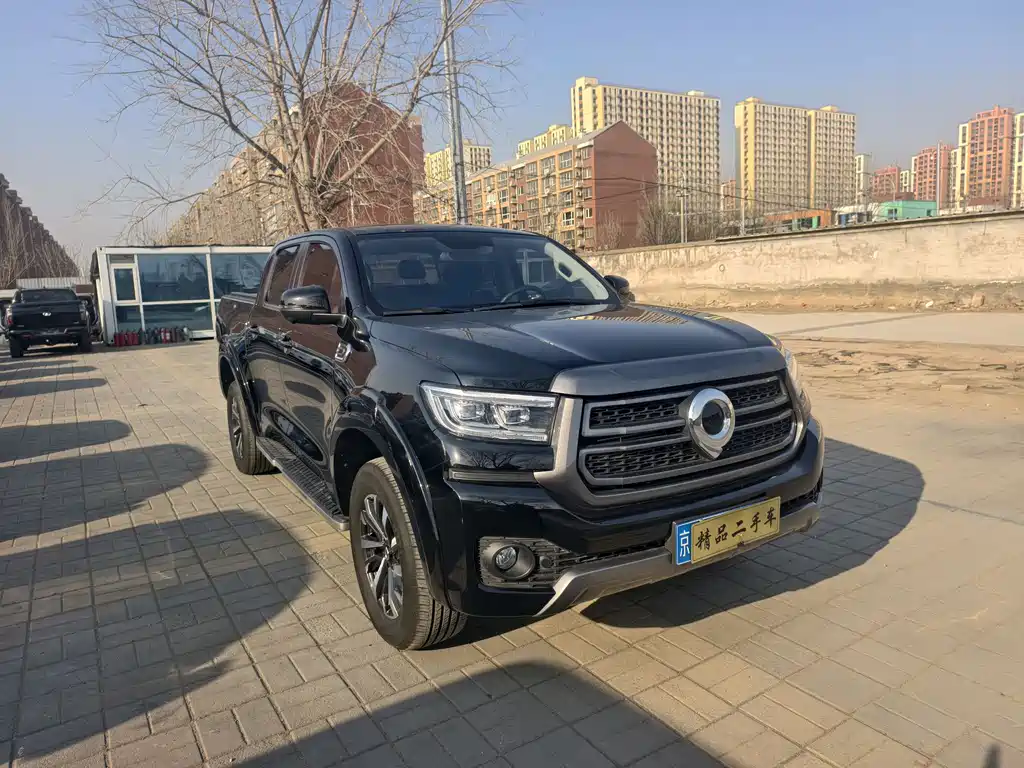 Cannon 2023 2.0T passenger version automatic gasoline four-wheel drive comfort model GW4C20B купить на сайте DeffCars