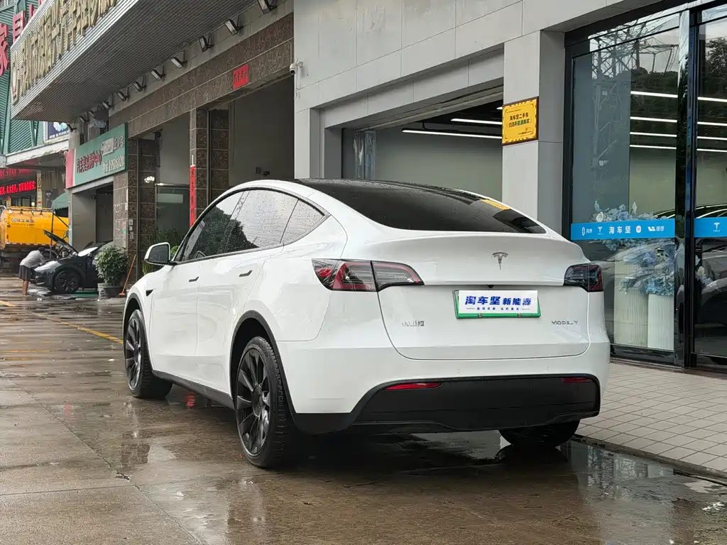 Model Y 2023 long-range all-wheel drive version купить на сайте DeffCars