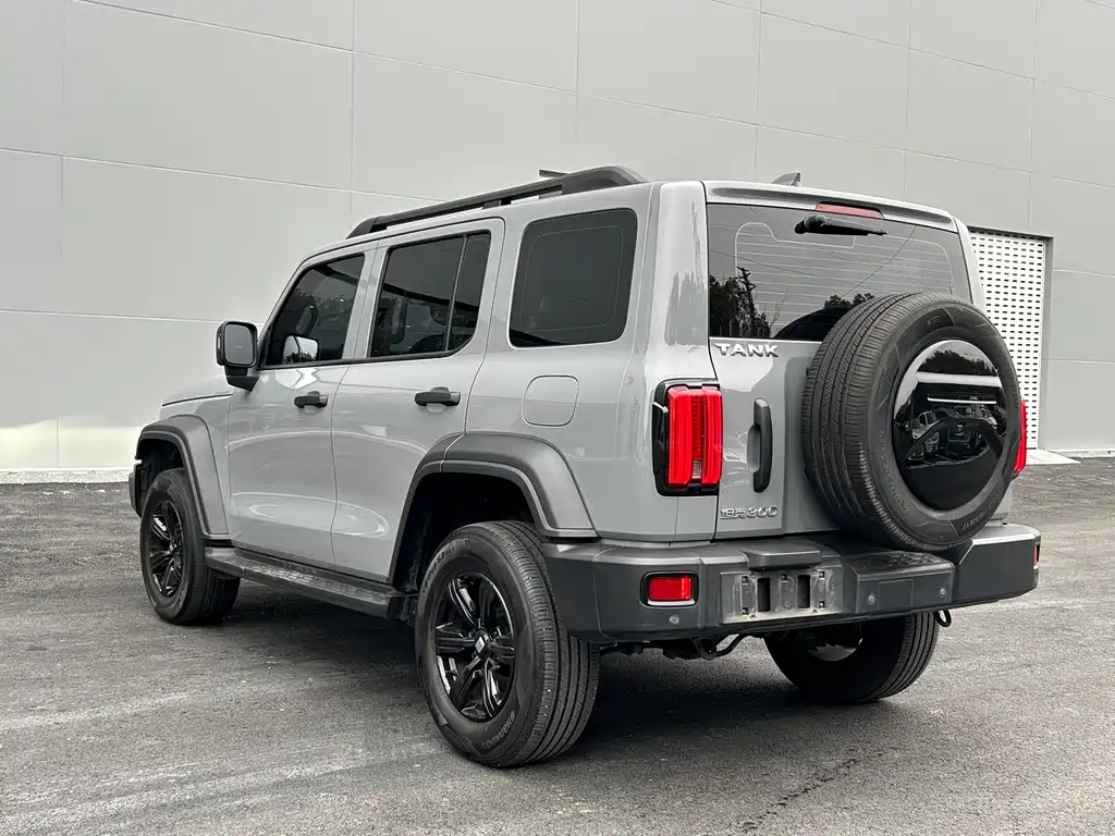 Tank 300 2021 Off-Road Version 2.0T Conqueror купить на сайте DeffCars