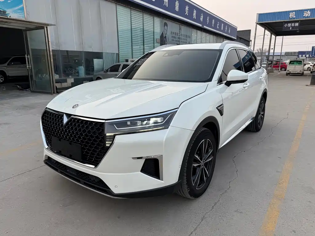 Venucia 2021 260T automatic 48V mild hybrid supercharged Xingyao version купить на сайте DeffCars