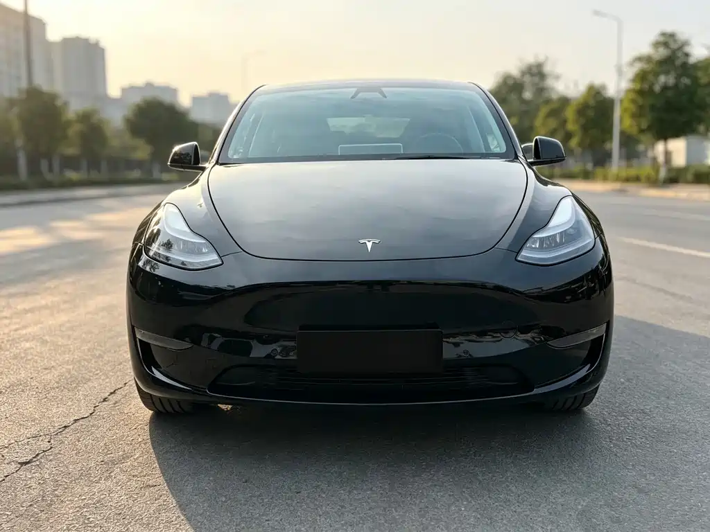 Model Y 2021 standard range rear-wheel drive version купить на сайте DeffCars