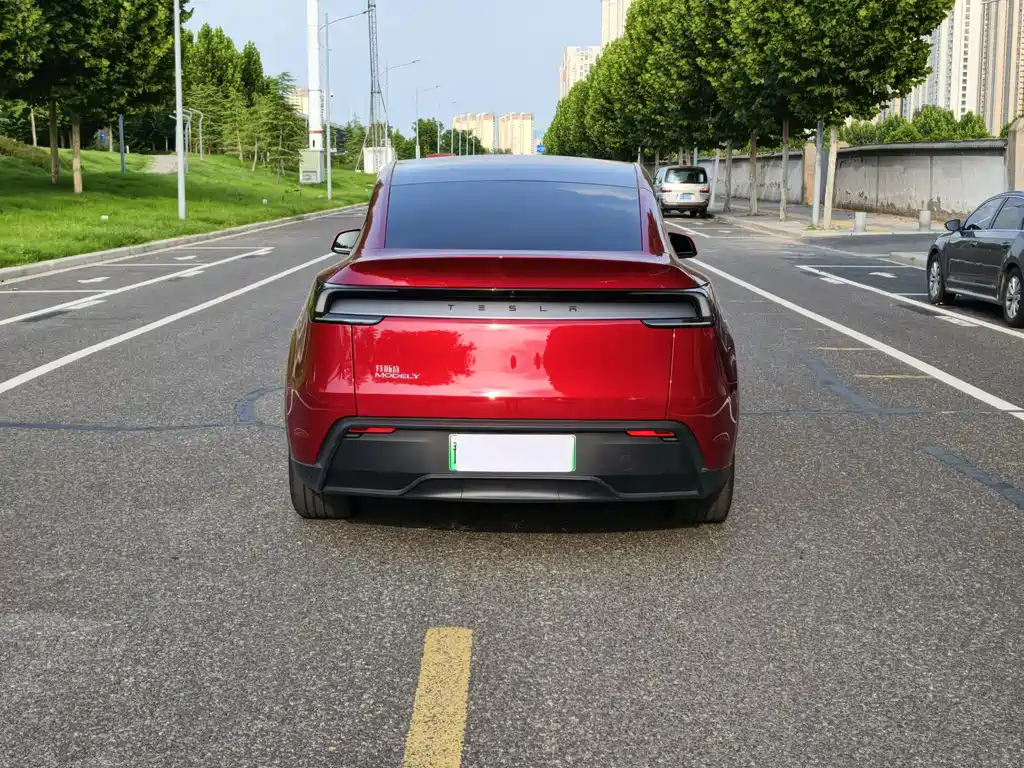 Model Y 2025 rear-wheel drive version купить на сайте DeffCars