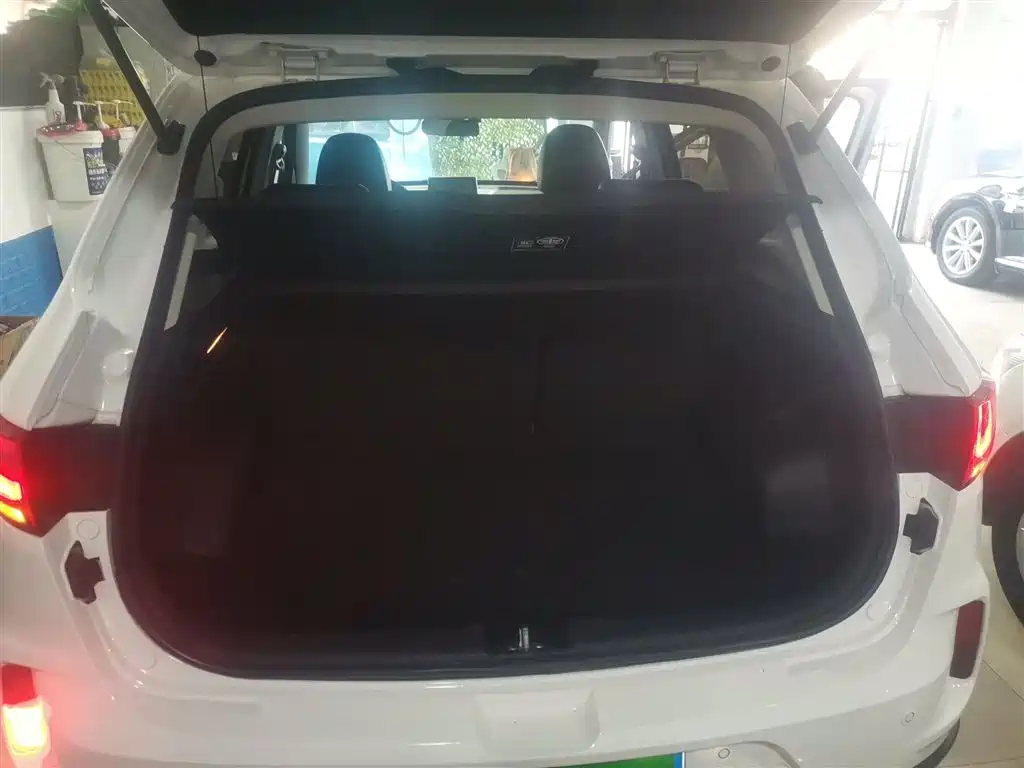 Pentium X40 2019 1.6L automatic luxury model National VI купить на сайте DeffCars