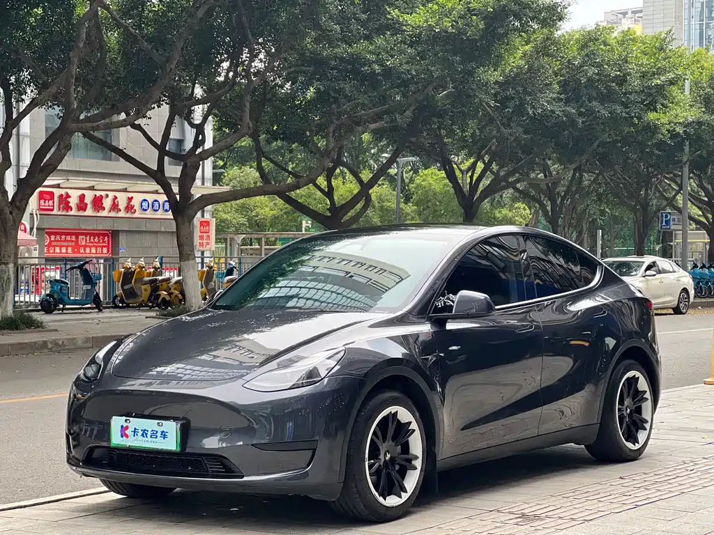 Model Y 2024 rear-wheel drive version купить на сайте DeffCars