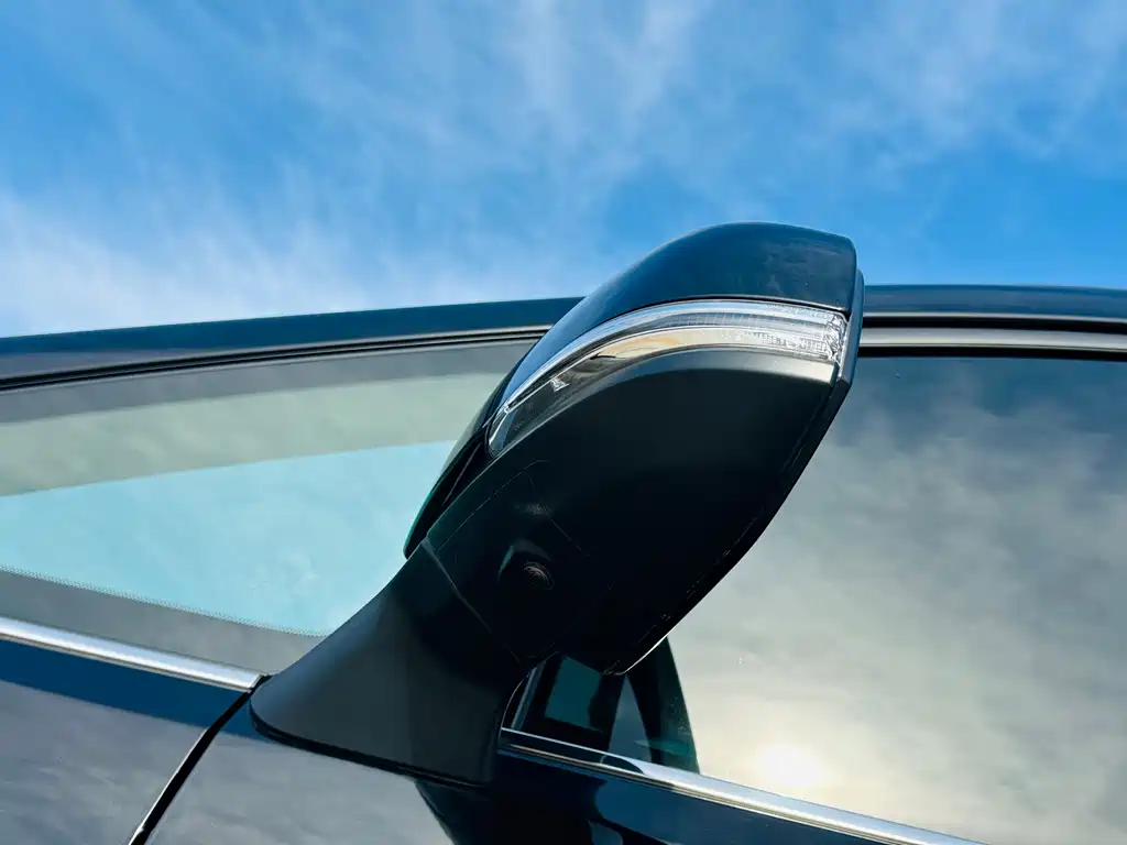 Wilfa 2020 Shuangqing 2.5L Black Gold Limited Edition купить на сайте DeffCars