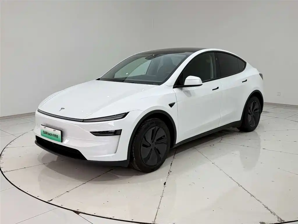 Model Y 2025 rear-wheel drive version купить на сайте DeffCars