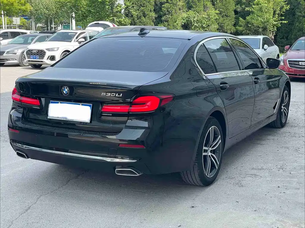 BMW 5 Series 2023 530Li Leading Luxury Package купить на сайте DeffCars