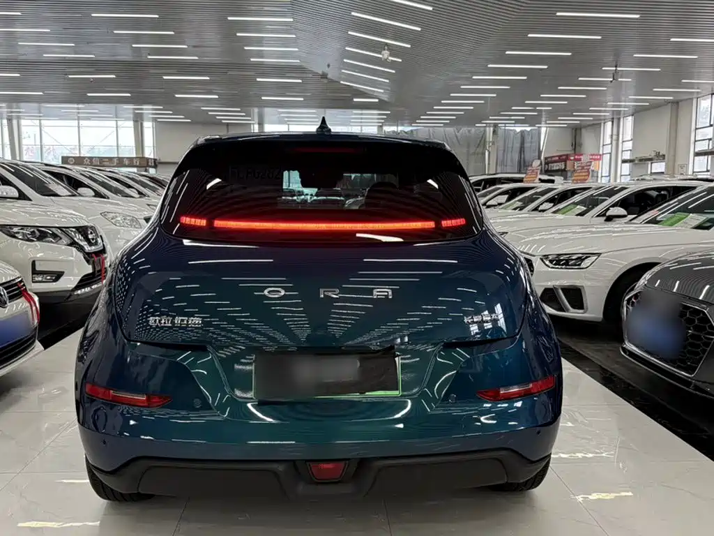 Euler Good Cat 2021 Model 400km Standard Range Athena Edition Lithium Iron Phosphate купить на сайте DeffCars
