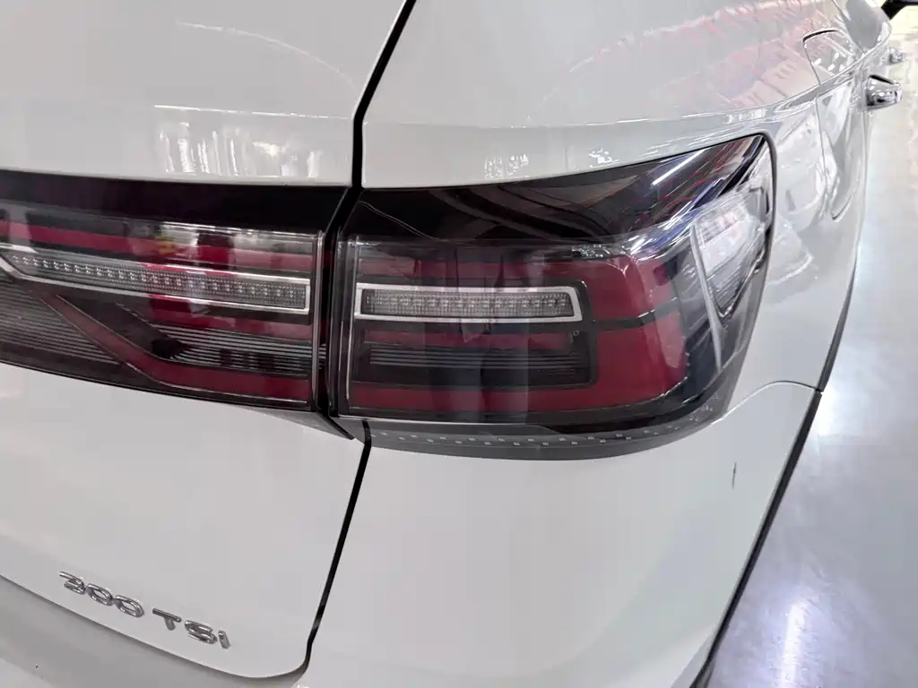 Tuyue 2023 300TSI two-wheel drive full moon version купить на сайте DeffCars